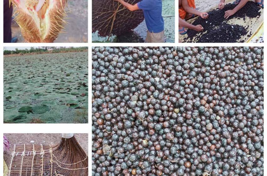  योजना का तेजी के साथ हो रहा है क्रियान्वयन