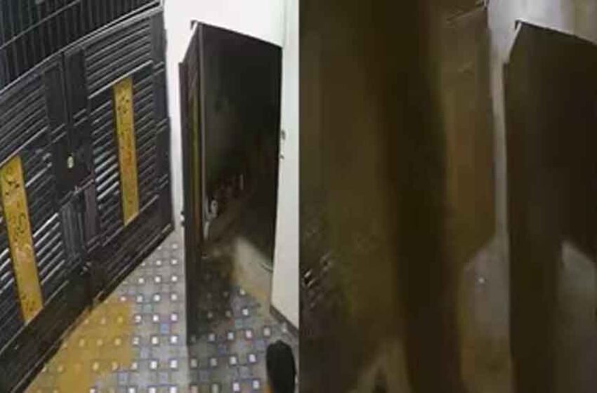  सोते-सोते हिल उठा मकान! फर्श चीरकर निकला पानी का फव्वारा, इलाके में हड़कंप